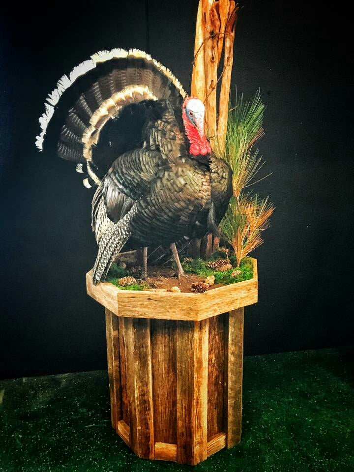 Barnwood - 06