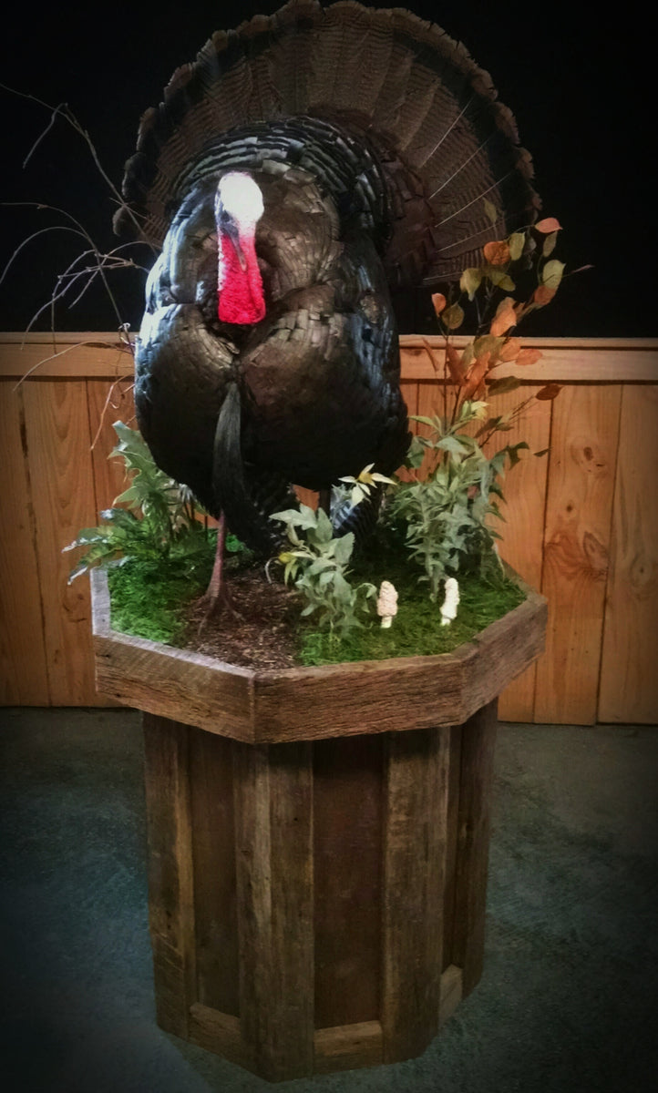 Barnwood - 09