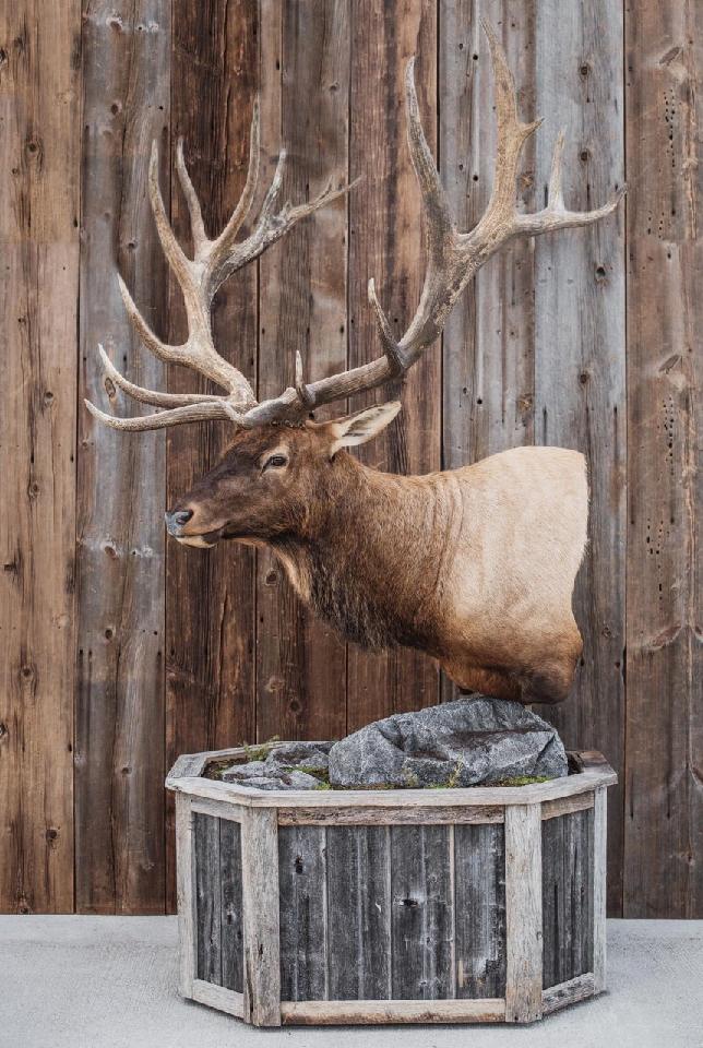 Barnwood - 34