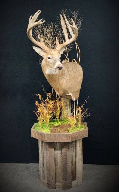 Barnwood - 42