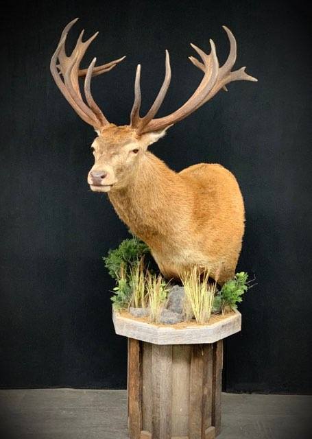 Barnwood - 44