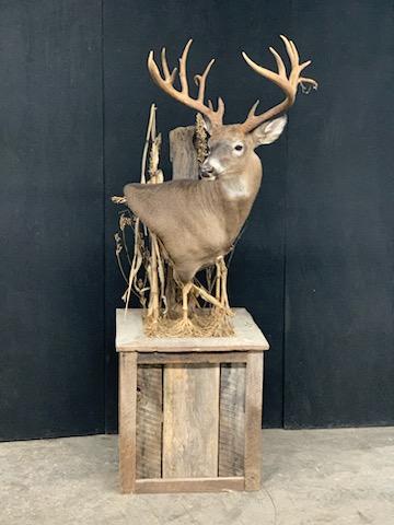 Barnwood - 44
