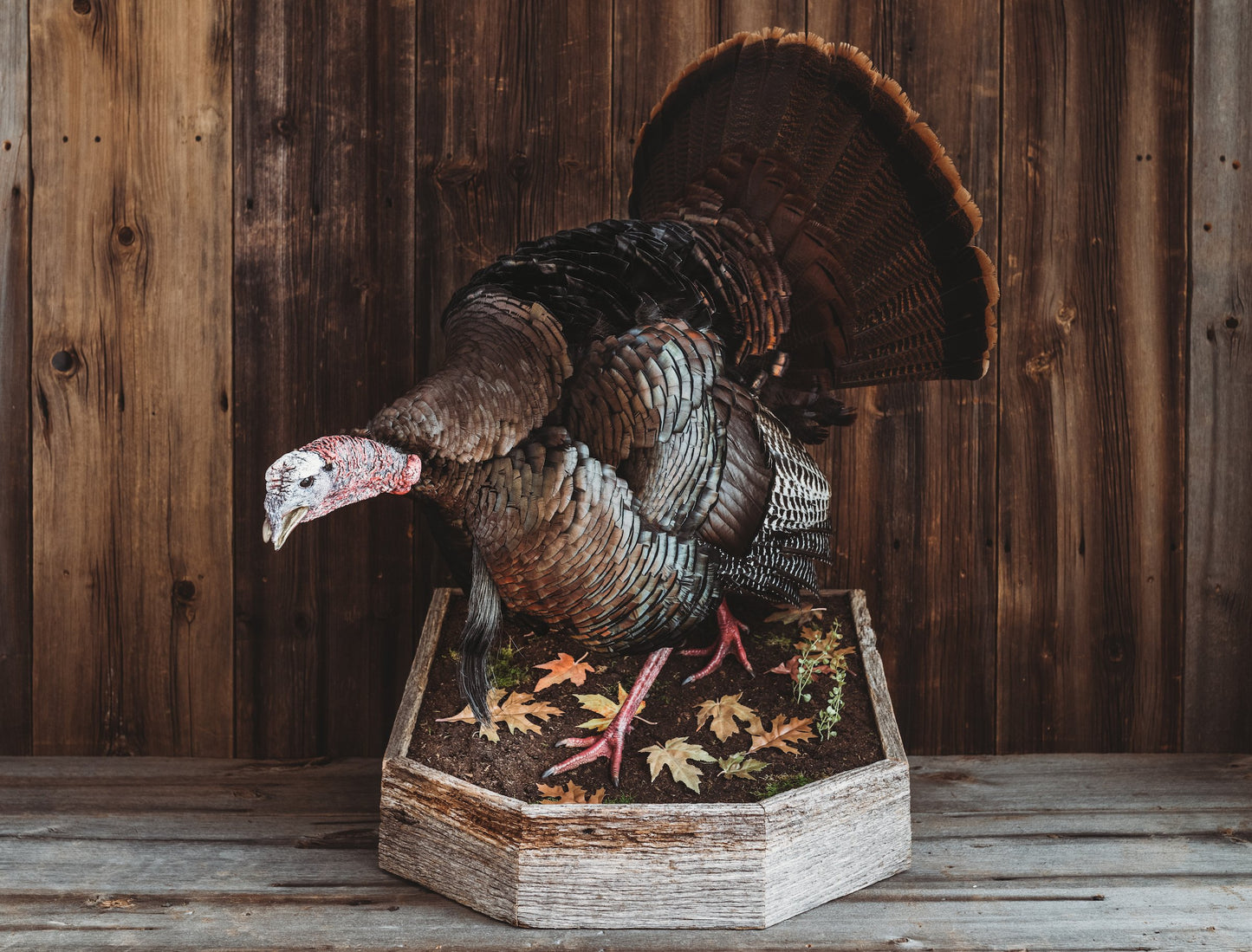 Barnwood - 20
