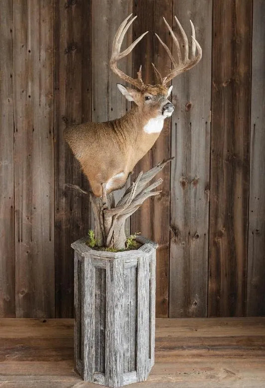 Barnwood - 52