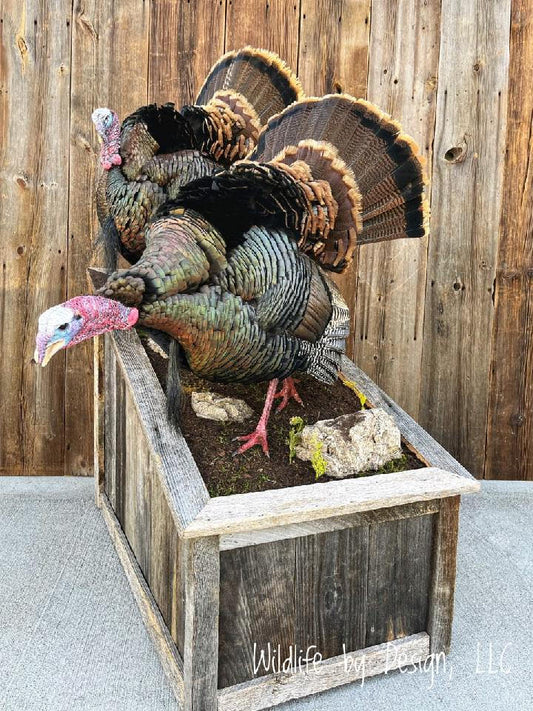 Barnwood - 59